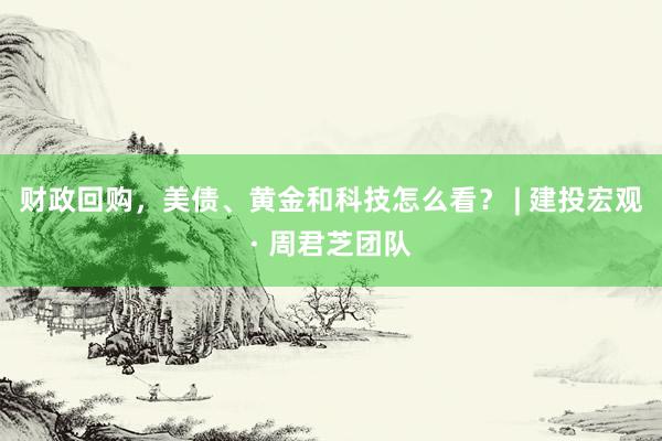 财政回购，美债、黄金和科技怎么看？ | 建投宏观 · 周君芝团队