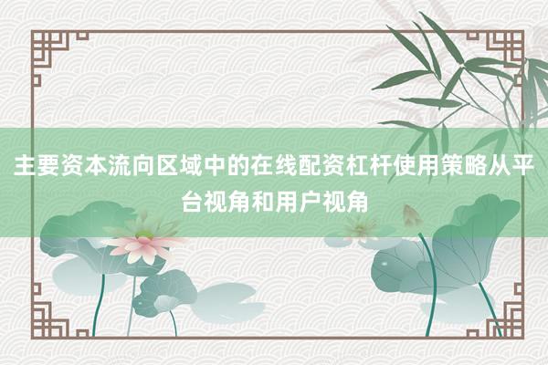 主要资本流向区域中的在线配资杠杆使用策略从平台视角和用户视角