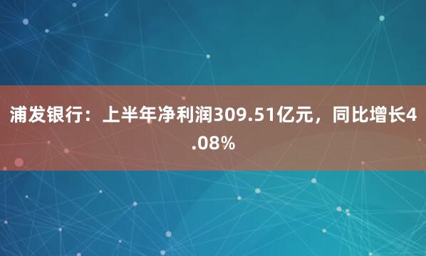 浦发银行：上半年净利润309.51亿元，同比增长4.08%